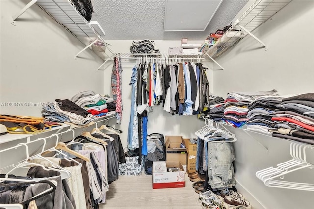 1060 SW 111th Way, Davie, FL 33324 - walk in closet featuring attic access