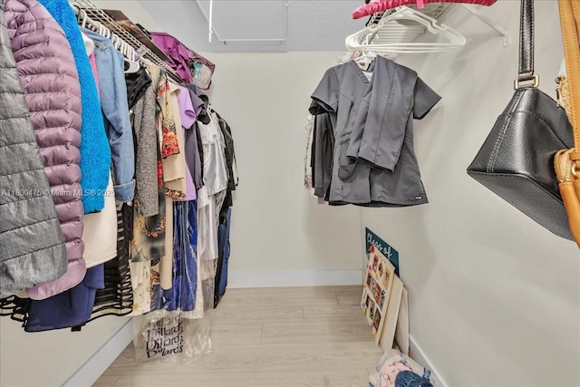 1060 SW 111th Way, Davie, FL 33324 - spacious closet with attic access