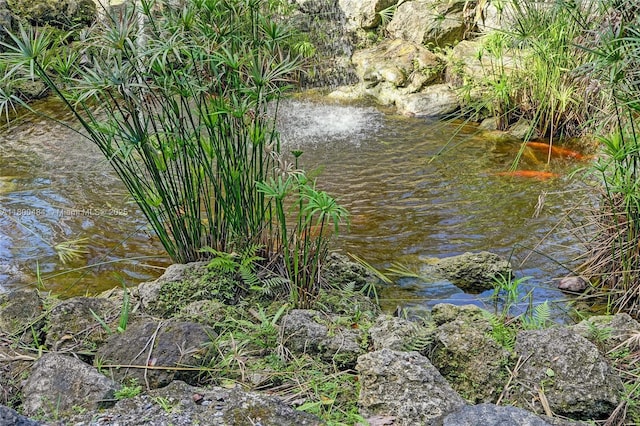 water view