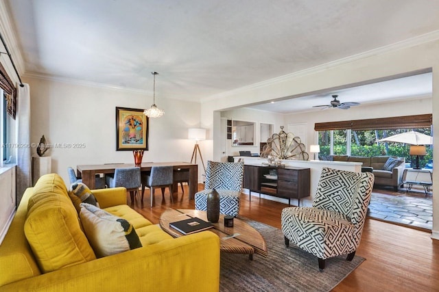 825 NE 98th St, Miami Shores, FL 33138 - living area with wood finished floors, crown molding, and ceiling fan