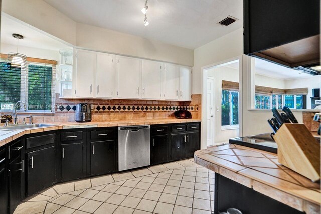 825 NE 98th St, Miami Shores, FL 33138 - kitchen featuring a sink, dark cabinets, stainless steel dishwasher, and white cabinetry