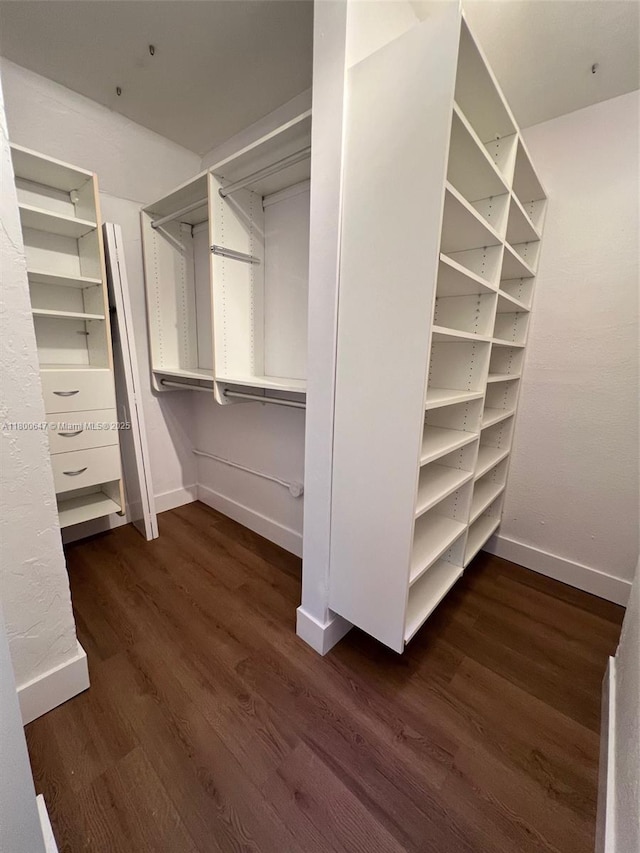 1605 Lenox Ave Unit 1605-9, Miami Beach, FL 33139 - spacious closet with dark wood finished floors