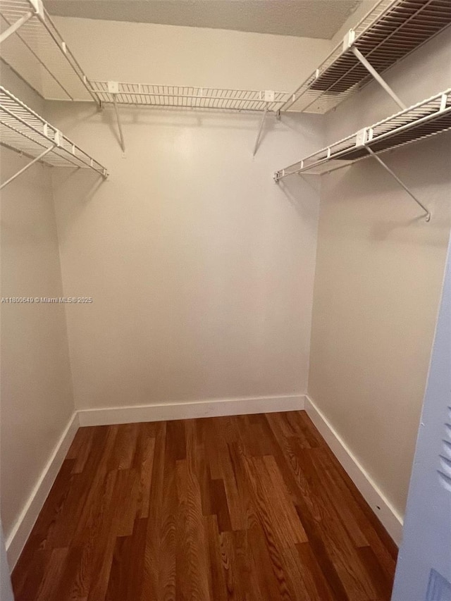 3801 Environ Blvd Unit 516, Lauderhill, FL 33319 - spacious closet with wood finished floors