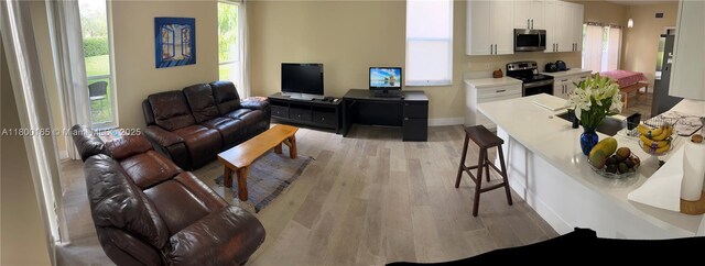 living area with light wood-style flooring, plenty of natural light, and baseboards
