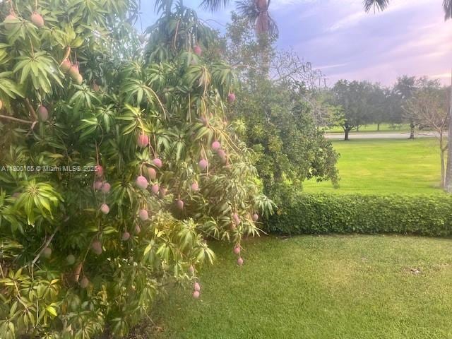 yard at dusk featuring a lawn