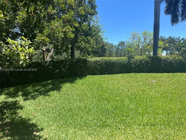 view of green lawn
