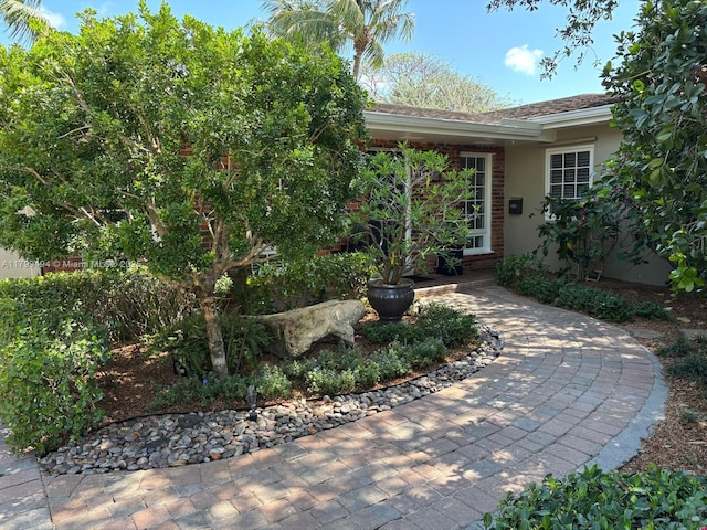 entrance to property featuring stucco siding and brick siding