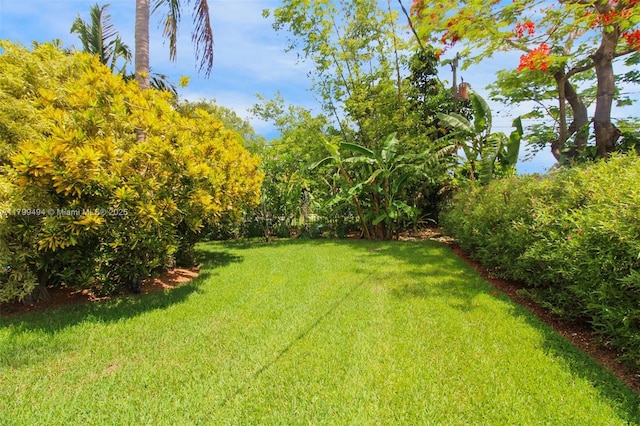 8345 SW 143rd St, Palmetto Bay, FL 33158 - view of green lawn