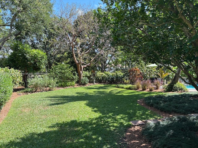 view of green lawn