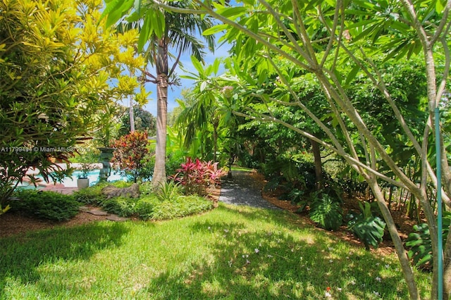 8345 SW 143rd St, Palmetto Bay, FL 33158 - view of yard