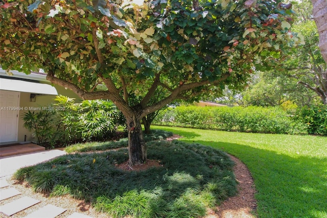 8345 SW 143rd St, Palmetto Bay, FL 33158 - view of grassy yard