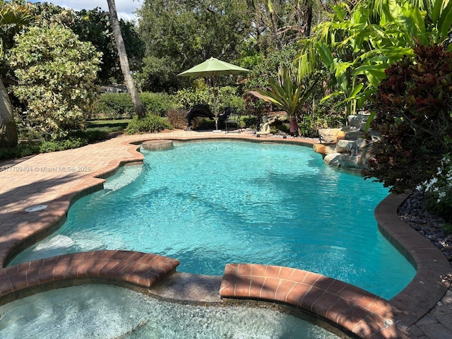 view of swimming pool