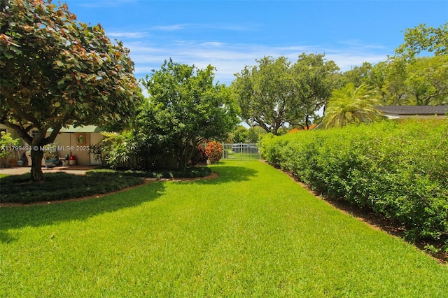 8345 SW 143rd St, Palmetto Bay, FL 33158 - view of yard