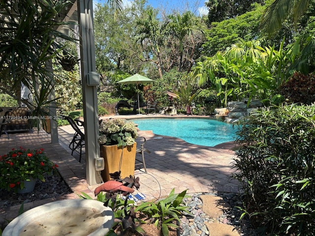 swimming pool featuring a patio