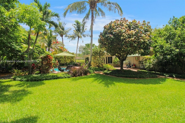 8345 SW 143rd St, Palmetto Bay, FL 33158 - view of grassy yard with an outdoor pool