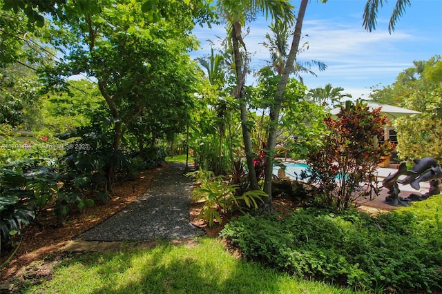 8345 SW 143rd St, Palmetto Bay, FL 33158 - view of yard featuring an outdoor pool
