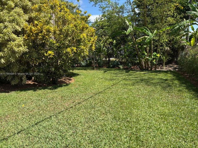 view of grassy yard