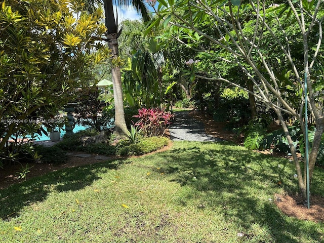 view of green lawn