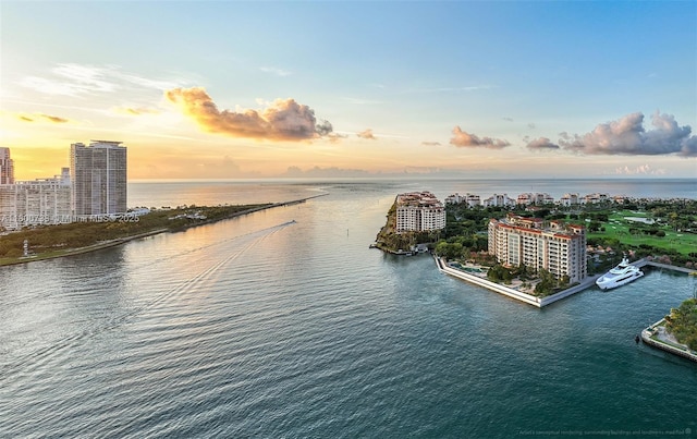 5266 Fisher Island Dr Unit 5266, Miami Beach, FL 33109 - water view with nearby urban area