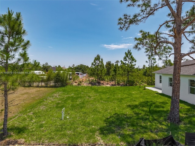 view of grassy yard