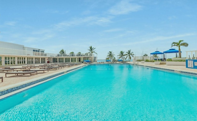 5401 Collins Ave Unit 428, Miami Beach, FL 33140 - community pool featuring a patio