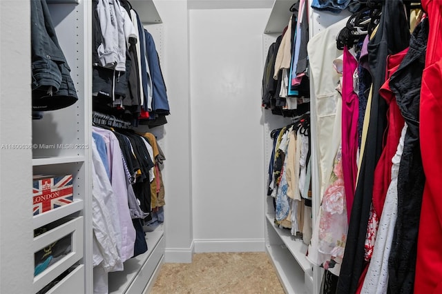 view of walk in closet
