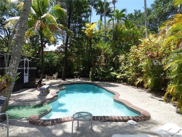 swimming pool featuring a patio