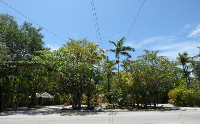 view of road