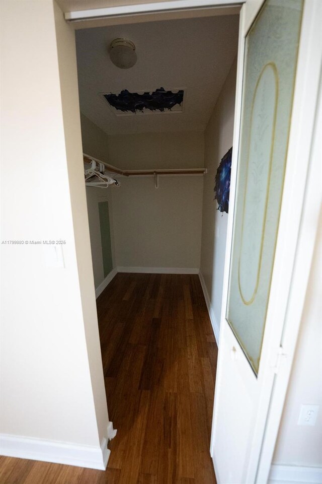 12840 SW 146th Ln, Miami, FL 33186 - walk in closet with wood finished floors