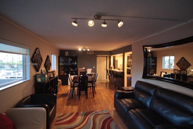 living room with wood finished floors