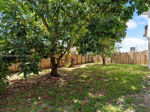 17616 SW 135th Ave, Miami, FL 33177 - view of yard
