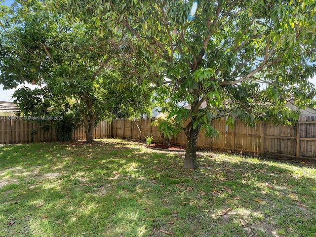 17616 SW 135th Ave, Miami, FL 33177 - view of yard