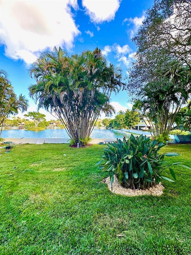 10361 NE 4th Ave, Miami Shores, FL 33138 - view of green lawn with a water view