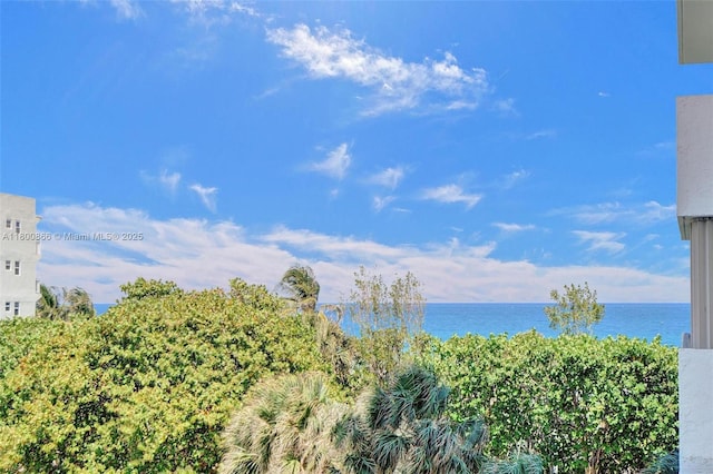 1201 S Ocean Dr Unit 404N, Hollywood, FL 33019 - water view