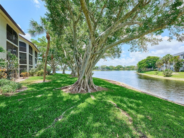 5380 Cedar Lake Dr Unit 204, Boynton Beach, FL 33437 - view of green lawn featuring a water view