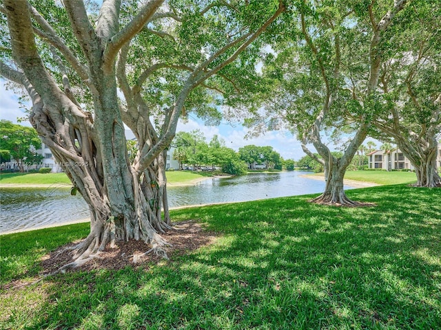 5380 Cedar Lake Dr Unit 204, Boynton Beach, FL 33437 - water view