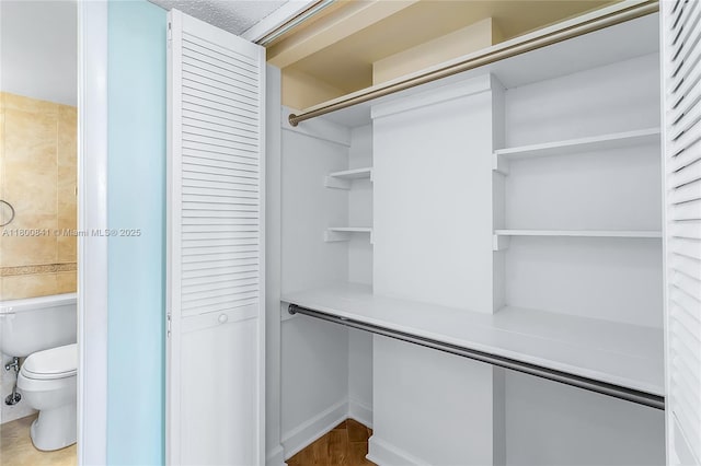 view of closet