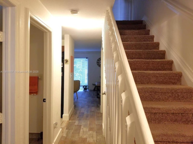 stairway featuring wood finished floors