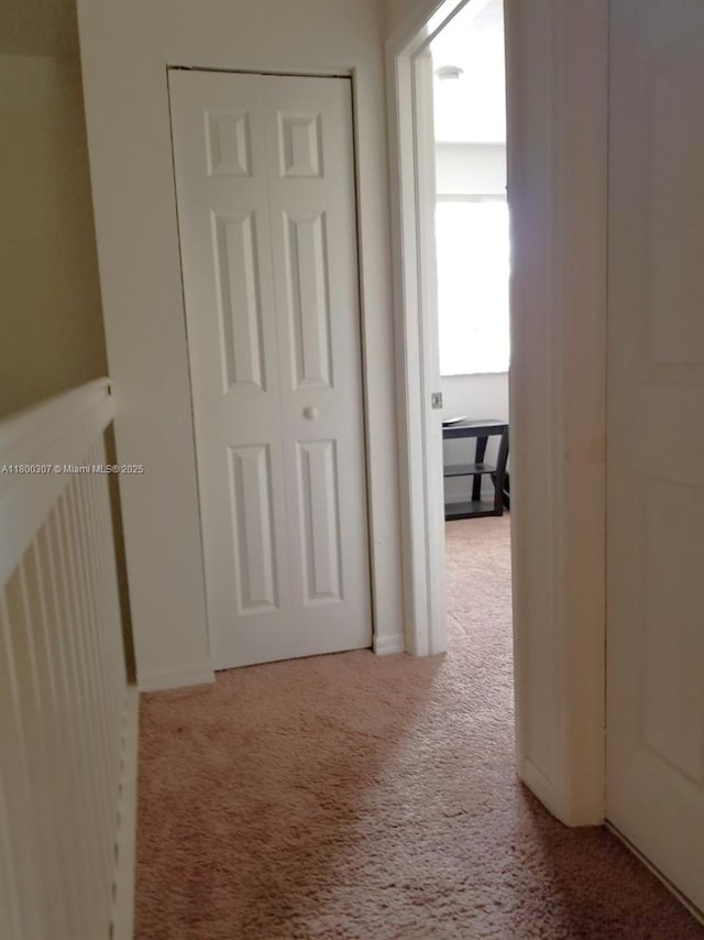 hallway featuring carpet