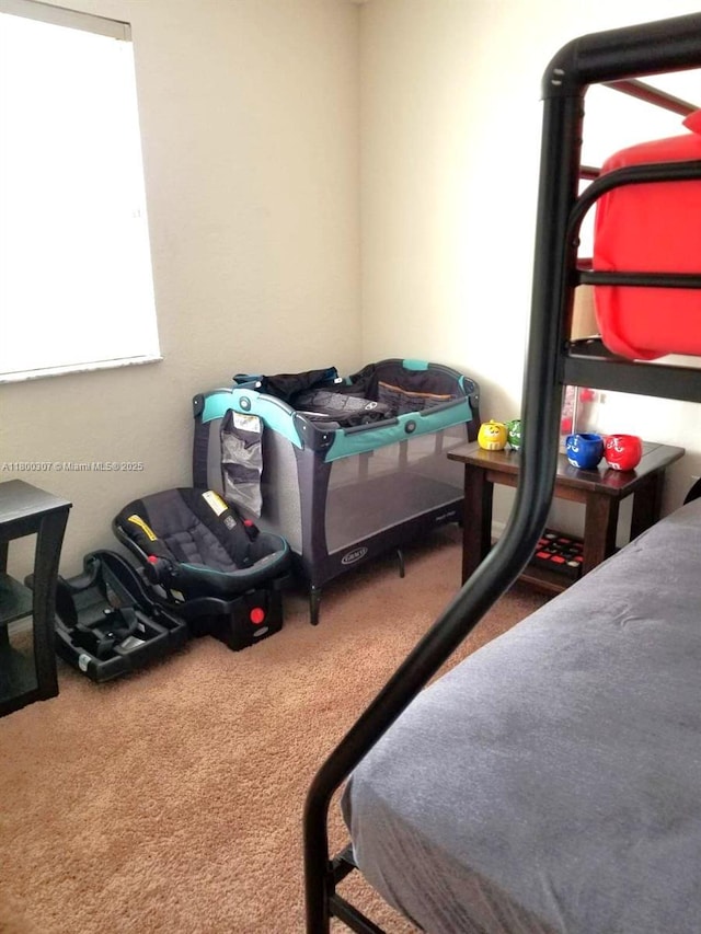 bedroom with carpet flooring