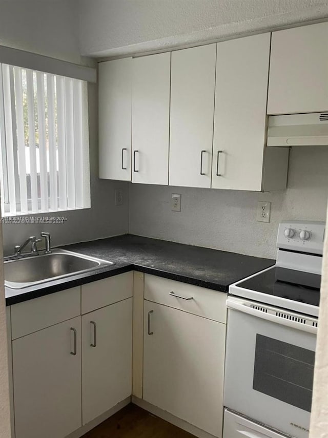 307 NW 84th St Unit 307, Miami, FL 33150 - kitchen featuring white electric stove, under cabinet range hood, a sink, and dark countertops