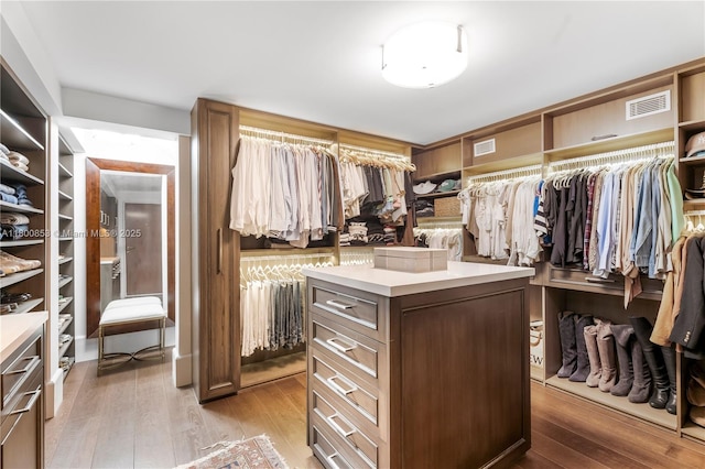 walk in closet with light wood-style floors
