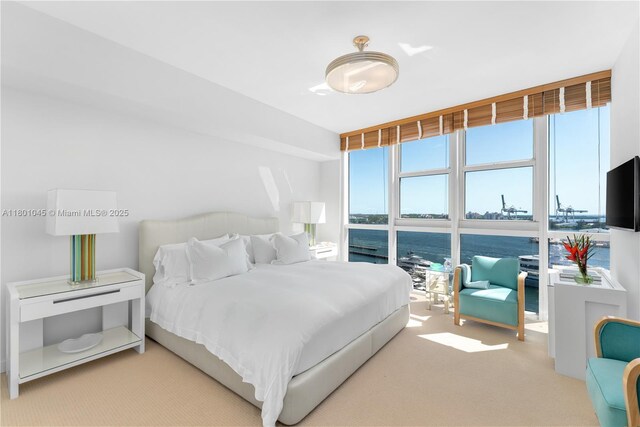 400 Alton Rd Unit 1101, Miami Beach, FL 33139 - bedroom featuring carpet and a wall of windows