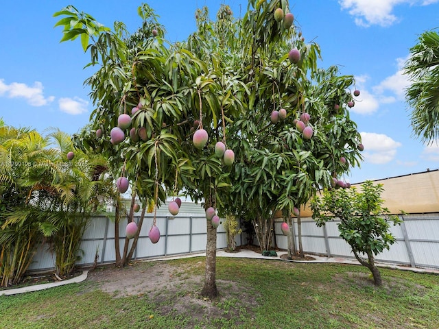 18760 SW 358th St, Homestead, FL 33034 - view of fenced backyard