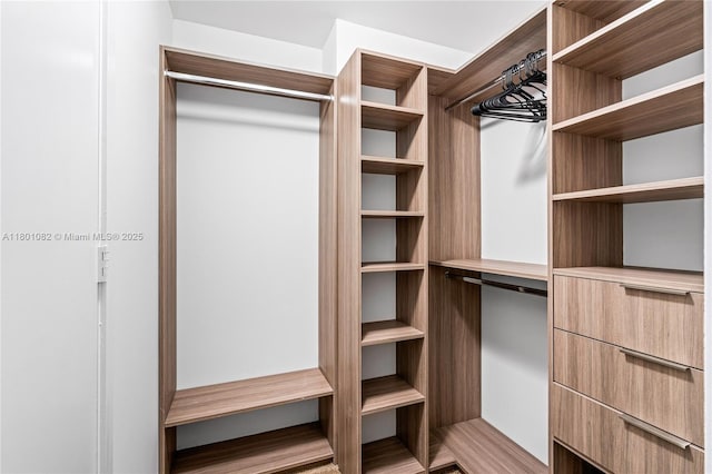 2900 NE 7th Ave Unit 1409, Miami, FL 33137 - view of walk in closet