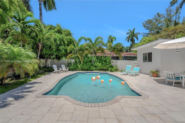 5550 N Bayshore Dr, Miami, FL 33137 - view of swimming pool with a patio and a fenced backyard