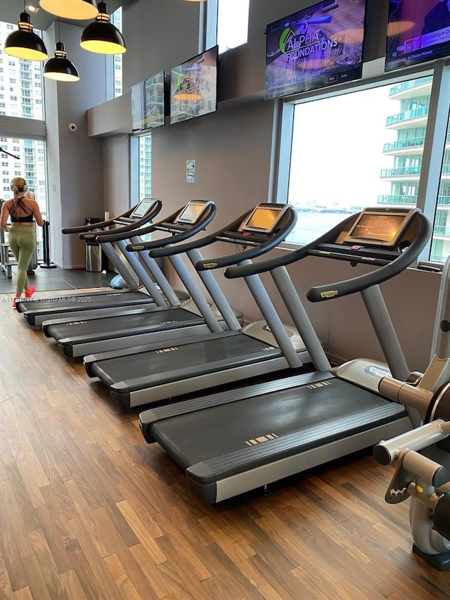workout area with wood finished floors