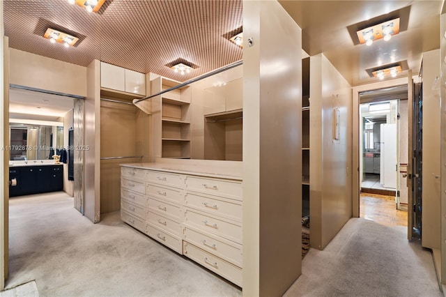 11111 Biscayne Blvd Unit 227, Miami, FL 33181 - spacious closet featuring light colored carpet