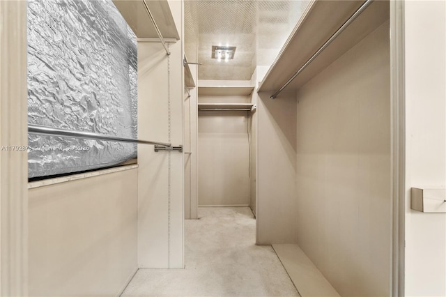 11111 Biscayne Blvd Unit 227, Miami, FL 33181 - spacious closet featuring carpet