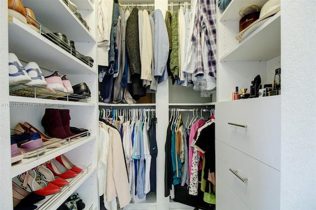 view of walk in closet